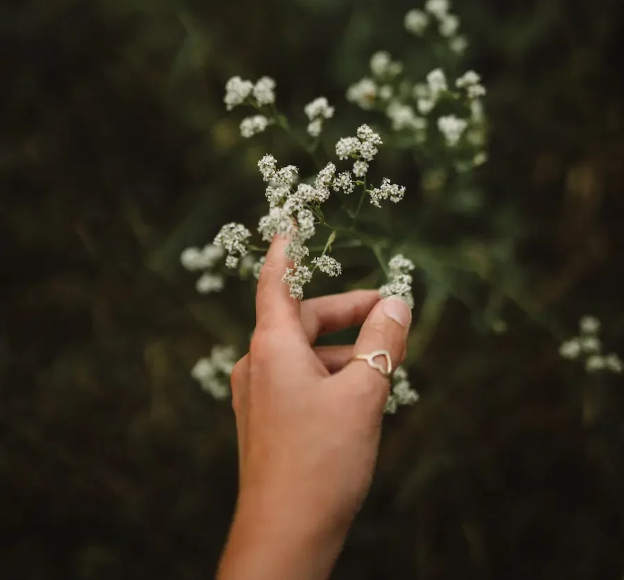 flowers touched by hand
